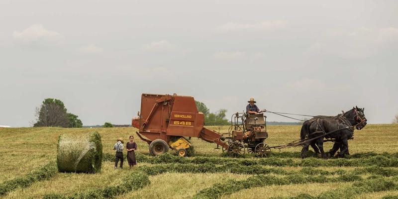 从欣然投资看加盟连锁:如何通过真实创业项目分析规避风险、把握机遇