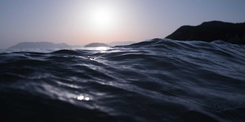 创业项目与商业加盟的投资机会：构建总部与加盟商的共赢生态