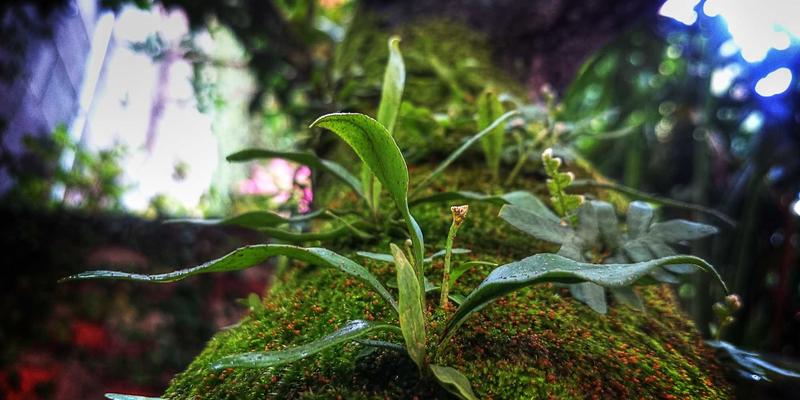 加盟合同续约与退出机制全攻略：把握投资机会，实现商业加盟的平稳过渡