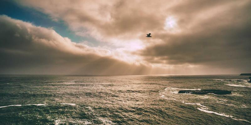 加盟店选址科学方法论：揭秘人流量数据分析与商圈成熟度评估，把握黄金投资机会