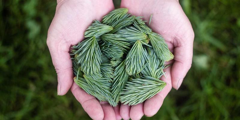 加盟投资回报率（ROI）实战计算：如何为你的创业项目设定合理盈利预期与回本周期 | 欣然投资指南