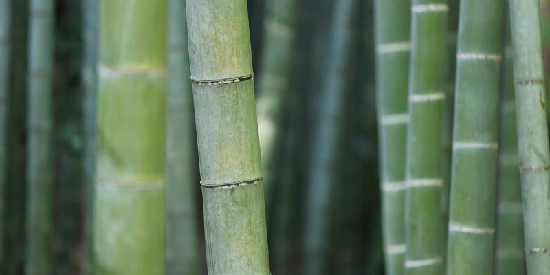 投资加盟68：解码优质创业项目，携手欣然投资共赢未来