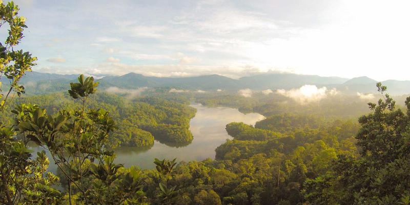 投资加盟95：解码新一代创业项目与商业加盟的成功密码