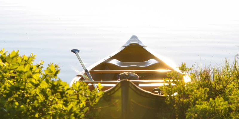 投资加盟前景解析：如何借力加盟连锁模式，开启稳健创业之路