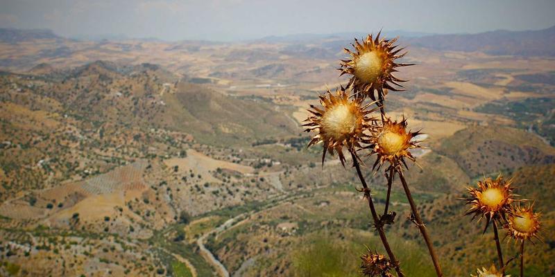 投资加盟成功关键：深度解析欣然投资总部支持体系，从培训到营销的实质性帮助