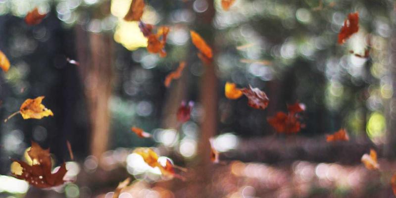 投资加盟连锁品牌：揭秘供应链如何成为您的创业项目降本增效利器