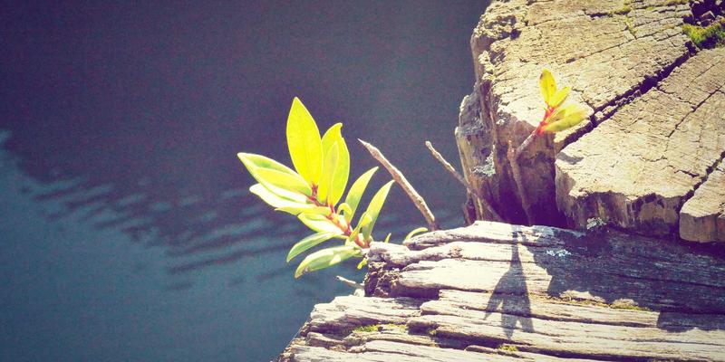 教育加盟赛道深度剖析：K12课后辅导与成人职业培训的投资逻辑与加盟机会