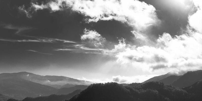 数字化时代创业新选择：OMO模式下的投资加盟策略与欣然投资机遇