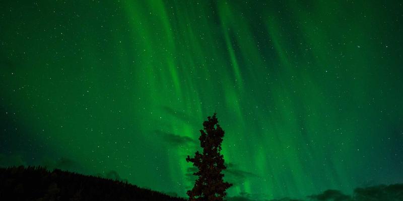 欣然投资健康养生加盟新蓝海：解码中医理疗、健康零食与睡眠经济的黄金投资机会