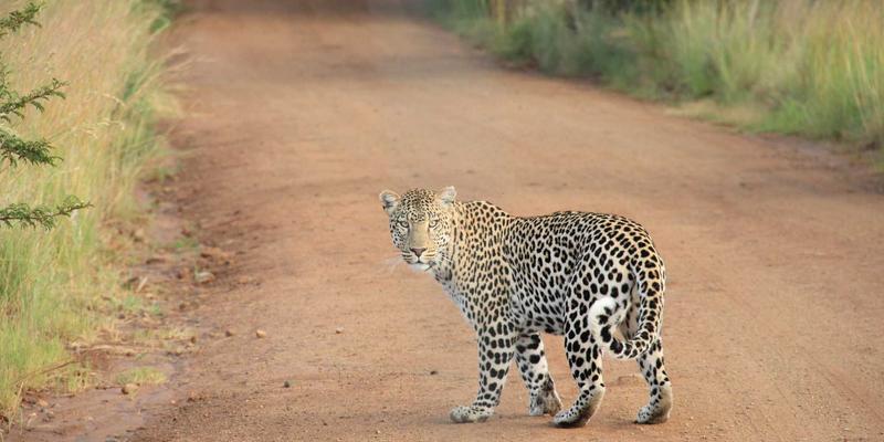 欣然投资创业项目必读：加盟创业资金全周期规划，从启动到现金流的决胜策略
