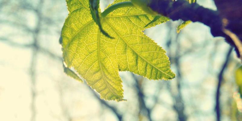 欣然投资加盟全攻略:三步锁定优质创业项目,开启稳健财富之路