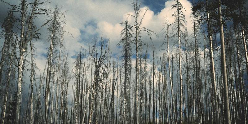 社区生鲜便利店加盟投资前景解析：如何依托供应链优势实现盈利增长