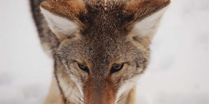 餐饮加盟投资新机遇：揭秘供应链如何通过中央厨房与冷链物流保障利润